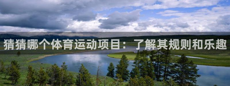 必发集团登录入口7790|猜猜哪个体育运动项目：了解其规则和